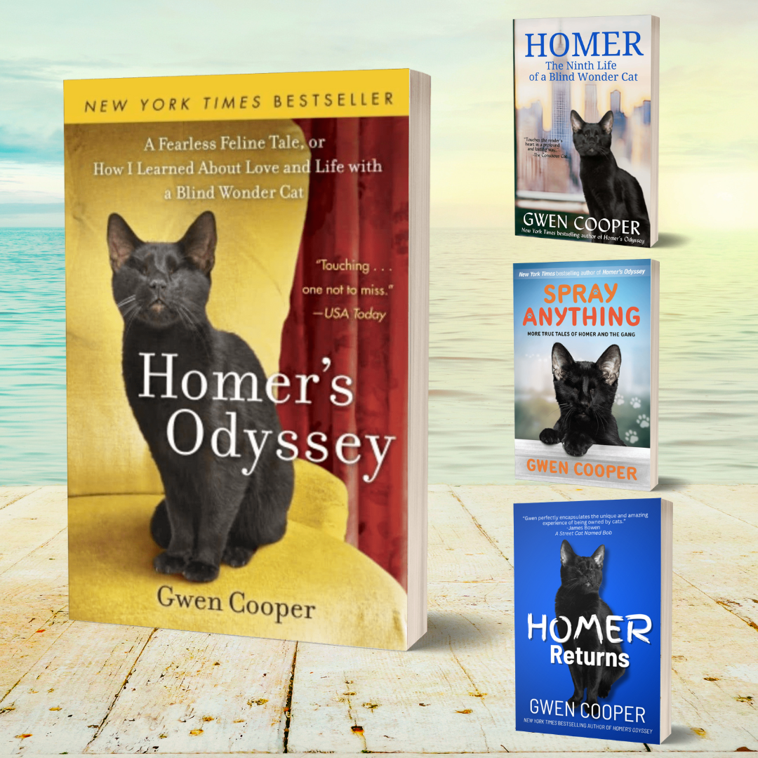 The HOMER Paperback Bundle (paperback)
