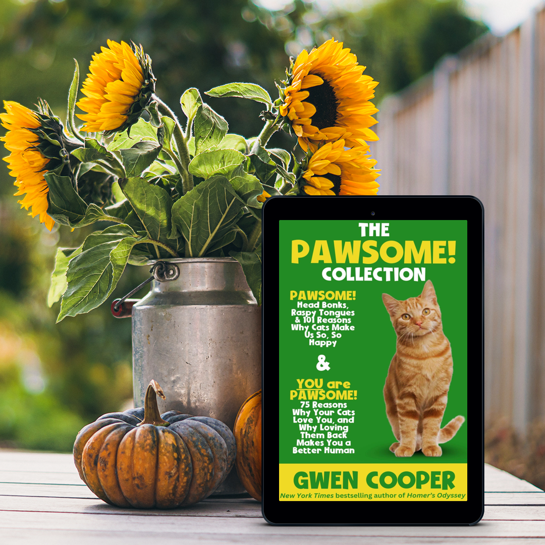 The PAWSOME! Collection: (PAWSOME! Books #1 and #2)