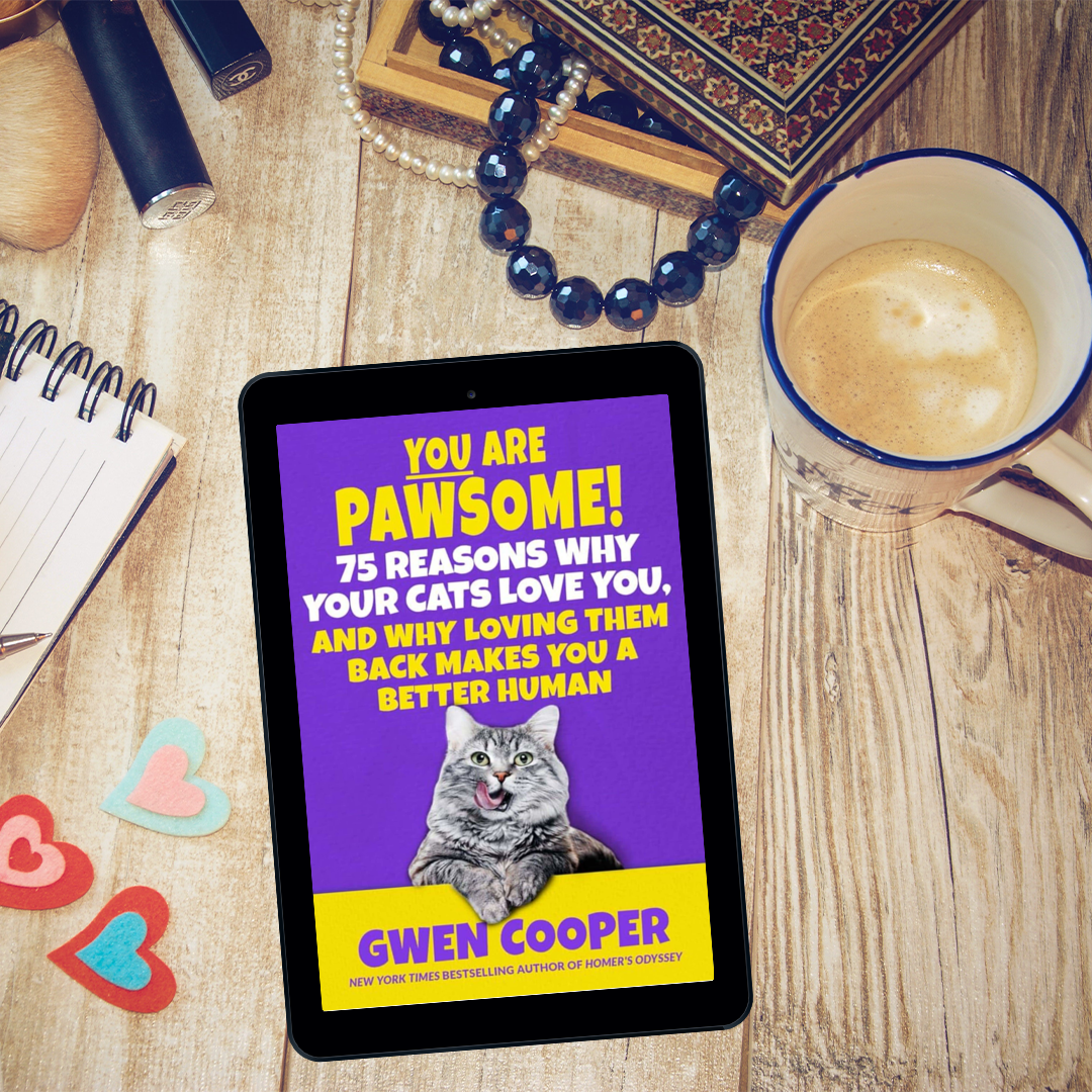 YOU are PAWSOME! 75 Reasons Why Your Cats Love You, and Why Loving Them Back Makes You a Better Human (PAWSOME! Book #2)
