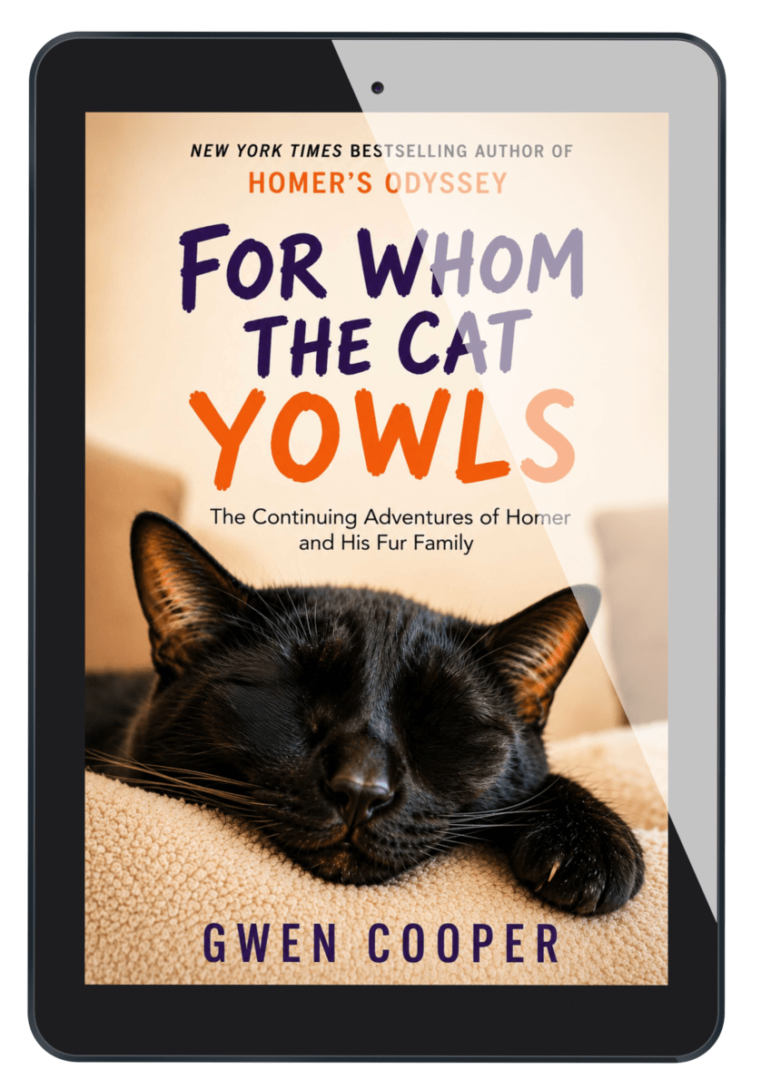 New Homer Book (ebook) + Homer Tee