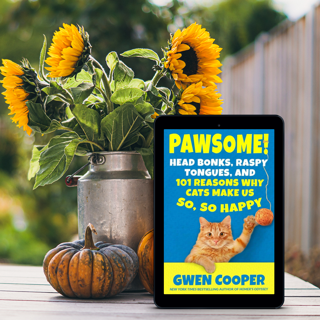 PAWSOME! Head Bonks, Raspy Tongues & 101 Reasons Why Cats Make Us So, So Happy (PAWSOME! Book #1)