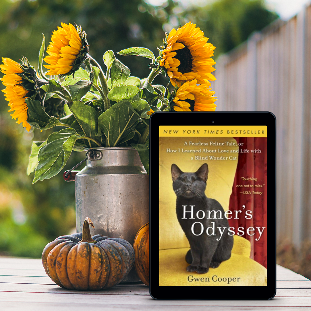 Homer's Odyssey: A Fearless Feline Tale, or How I Learned About Love and Life with a Blind Wonder Cat (Homer Book #1)