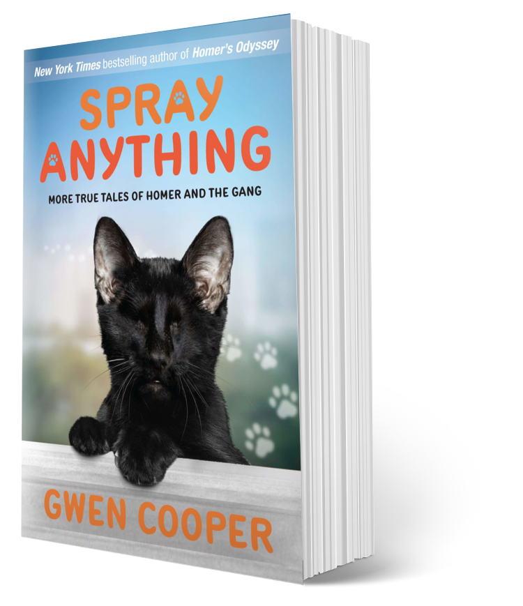 Spray Anything: More True Tales of Homer and the Gang (Homer Book #3)