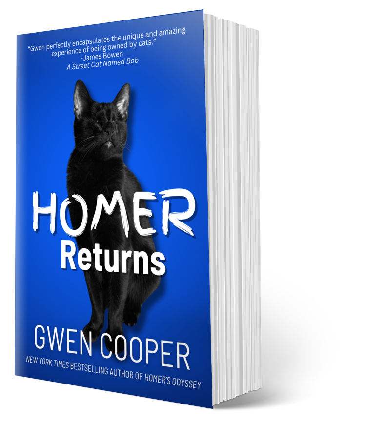 The HOMER Paperback Bundle (All 4 Homer Books)