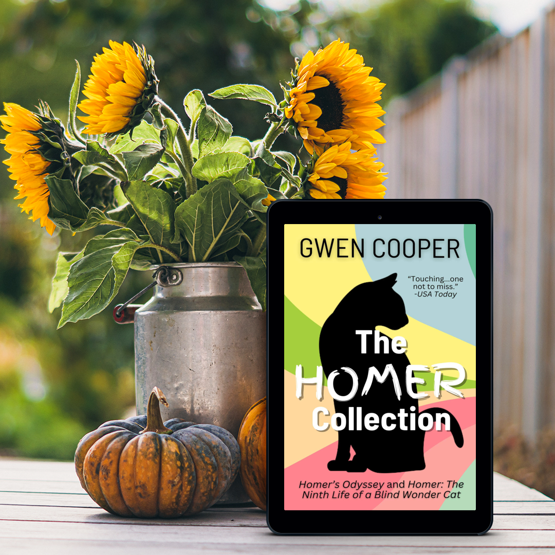 The HOMER Collection (Homer Books #1 and #2)