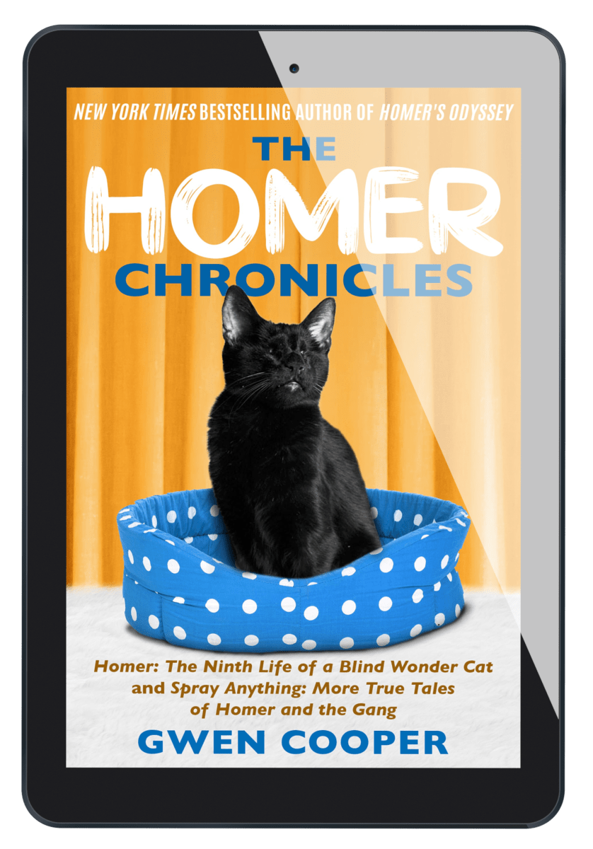 The HOMER Chronicles (Homer Books #2 and #3)