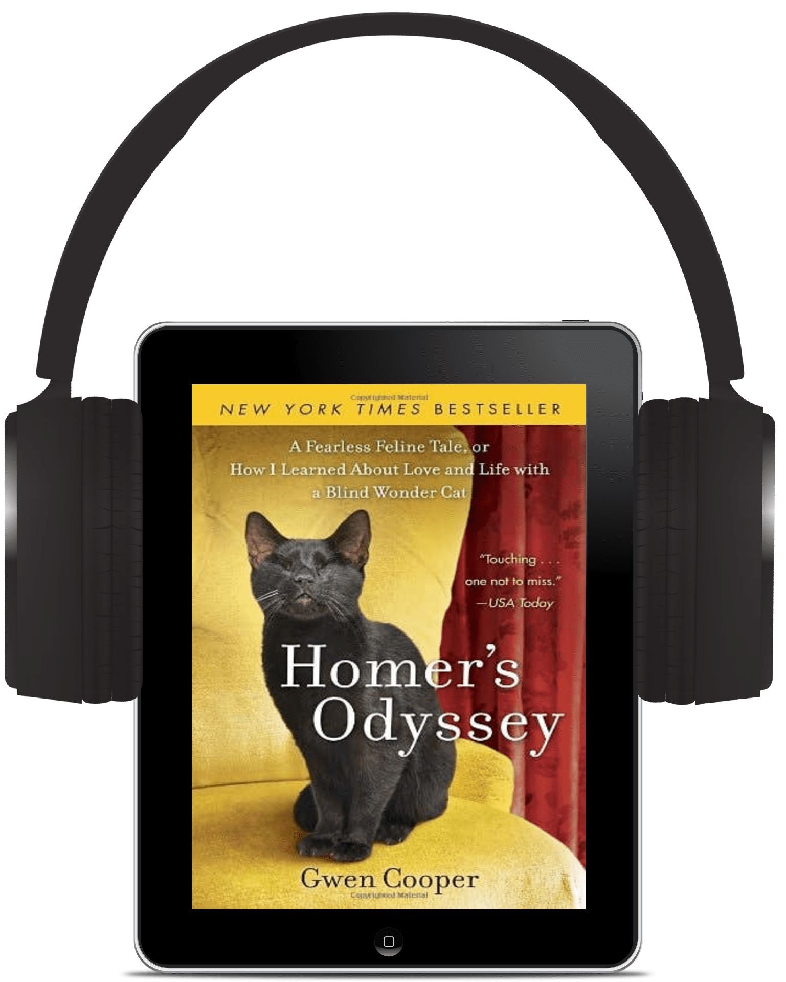 Homer's Odyssey: A Fearless Feline Tale, or How I Learned About Love and Life with a Blind Wonder Cat (Homer Book #1)