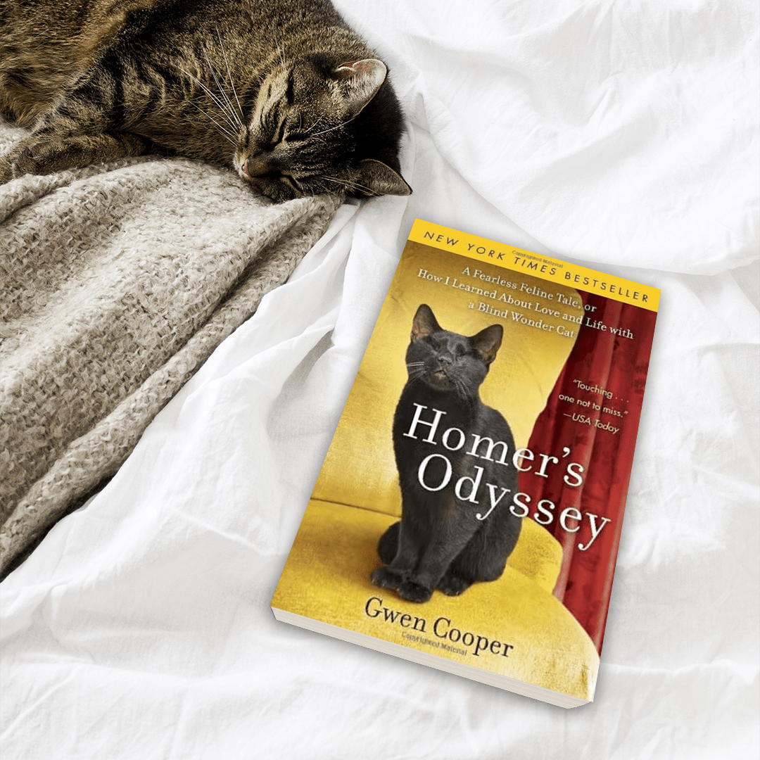 Homer's Odyssey: A Fearless Feline Tale, or How I Learned About Love and Life with a Blind Wonder Cat (Homer Book #1)