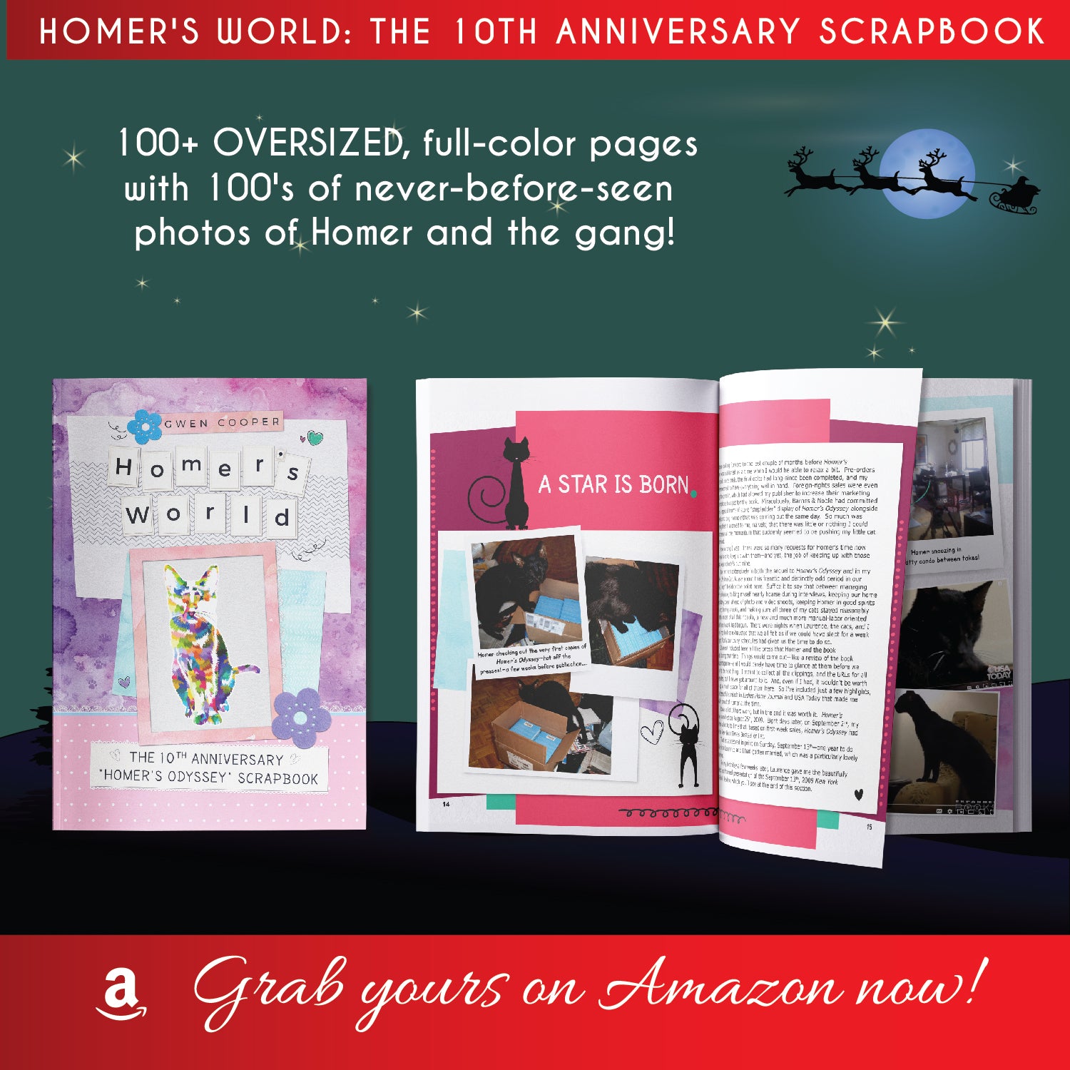 The "Homer's Odyssey" 10th Anniversary Scrapbook! (Bonus Homer Book!) (ebook)
