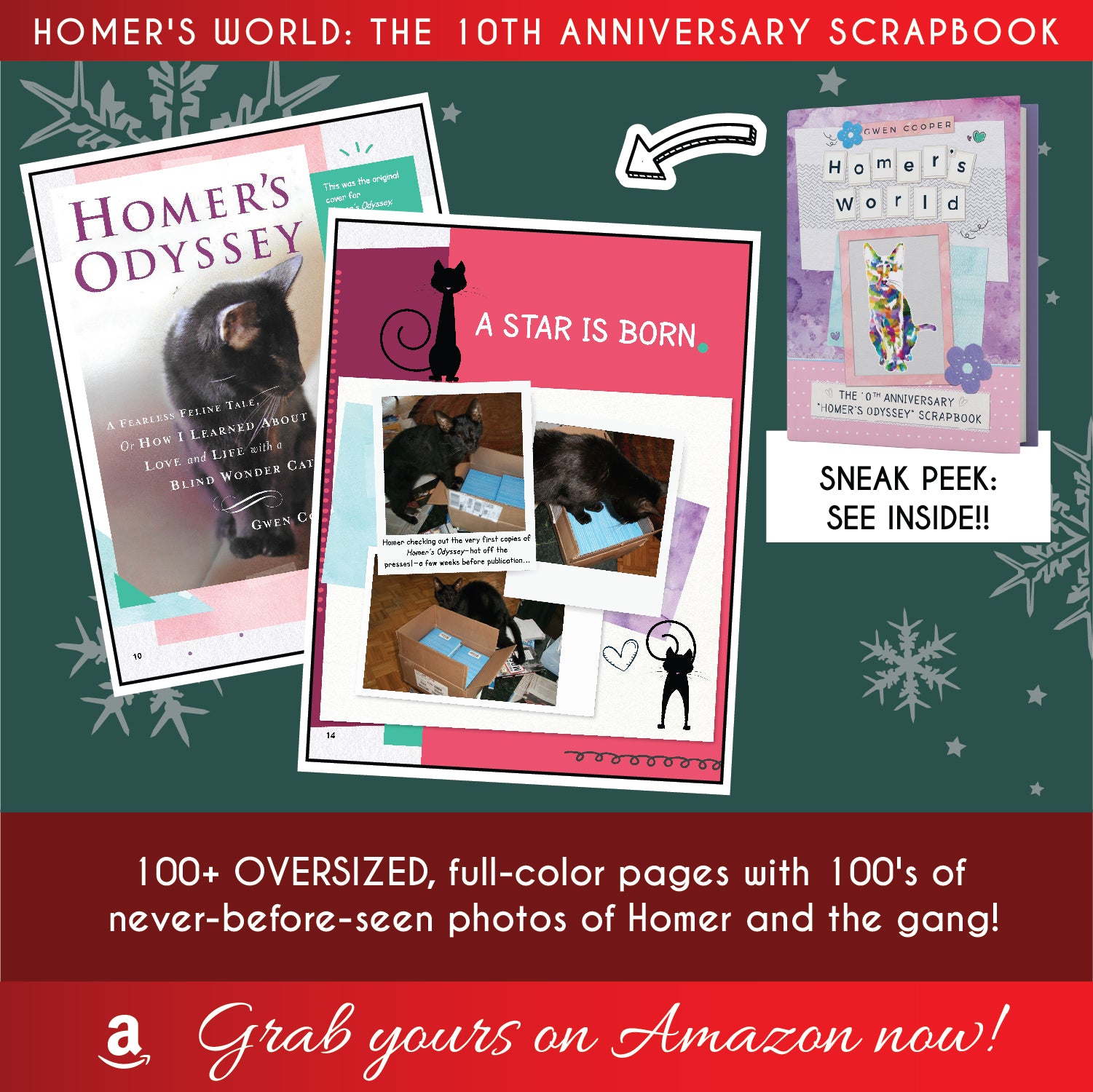 The "Homer's Odyssey" 10th Anniversary Scrapbook! (Bonus Homer Book!) (ebook)