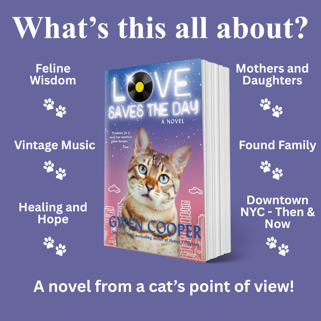 Love Saves the Day: A Novel (Paperback)