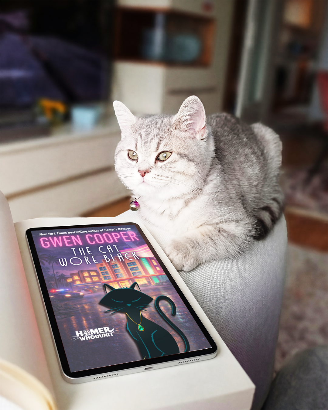 THE CAT WORE BLACK - E-BOOK PRE-ORDER!