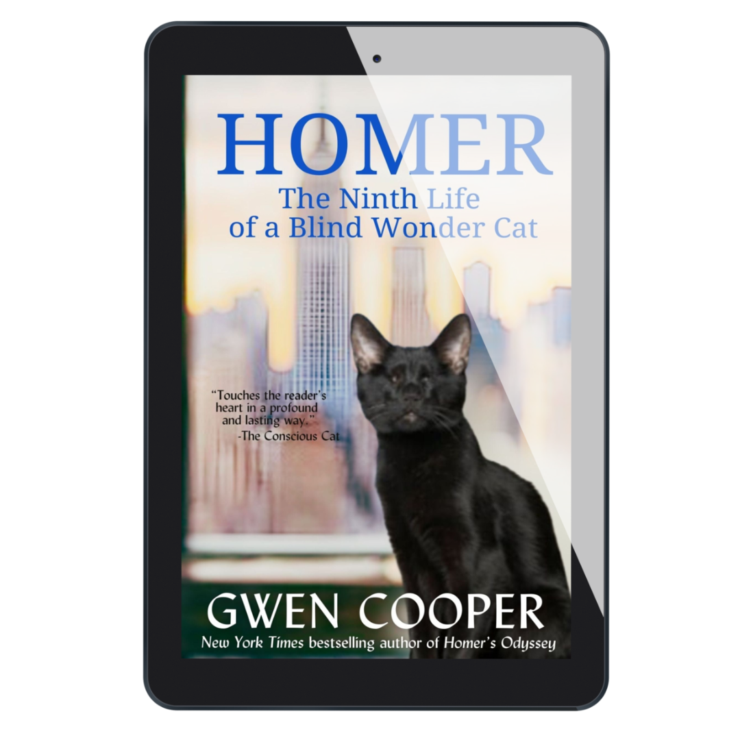 HOMER 3-Ebook Bundle (Homer books #2 thru #4)