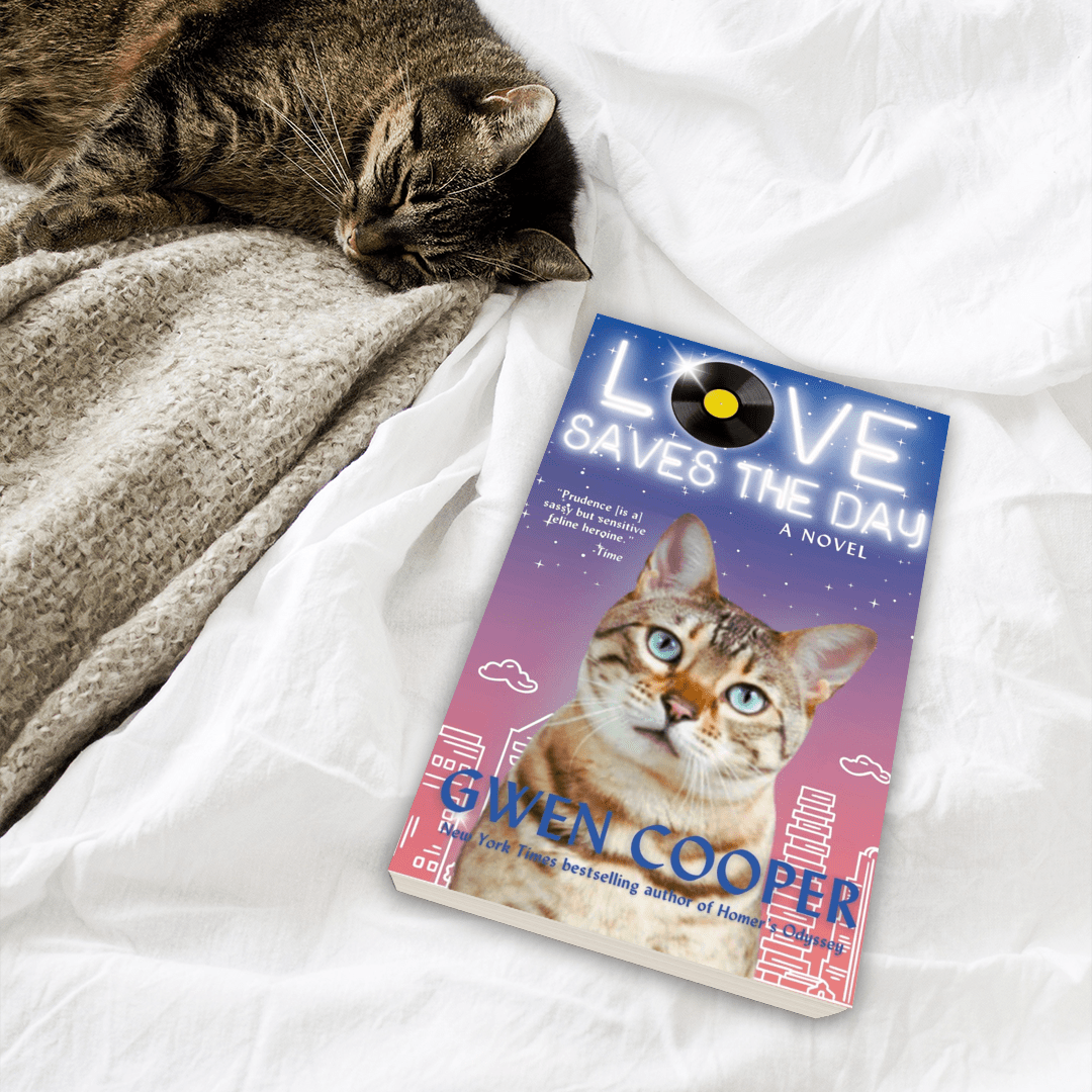 Love Saves the Day: A Novel (Paperback)