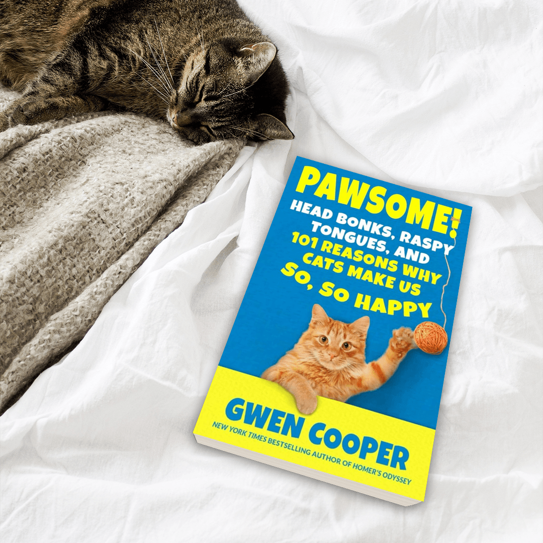 PAWSOME! Head Bonks, Raspy Tongues, and 101 Reasons Why Cats Make Us So, So Happy (PAWSOME! Book #1)
