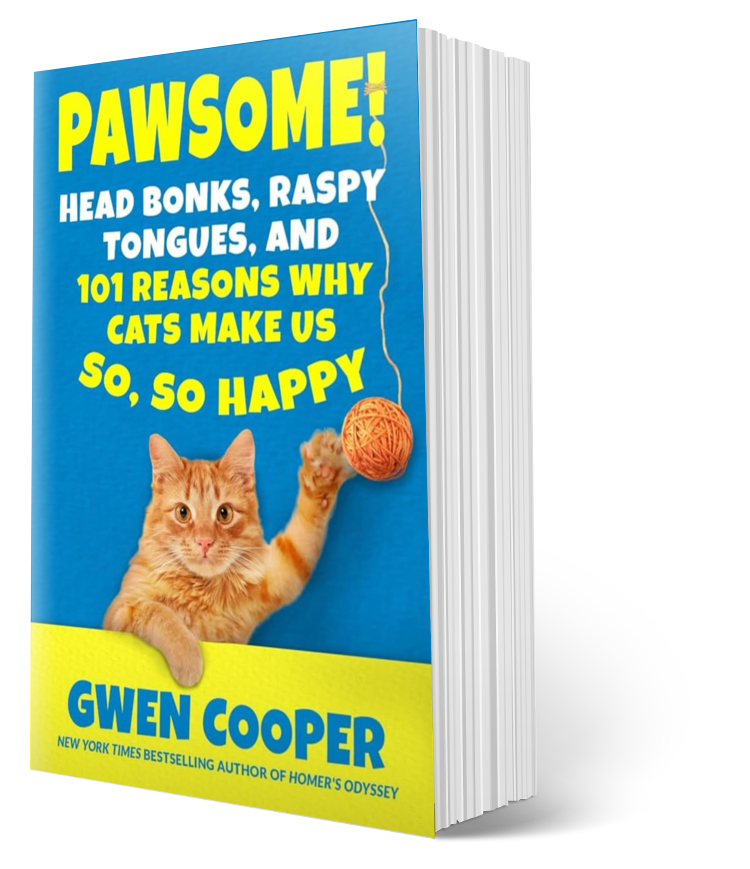 A Day Without Cats and PAWSOME! Tee and Paperback Bundle