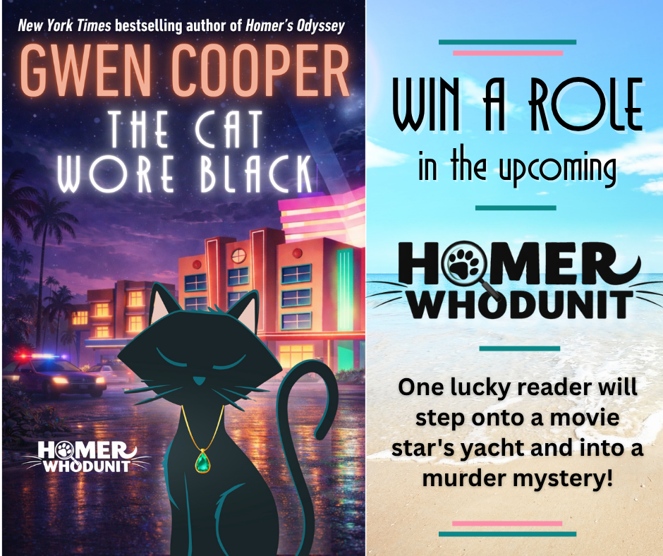 Walk-On Role Raffle — The Cat Wore Black