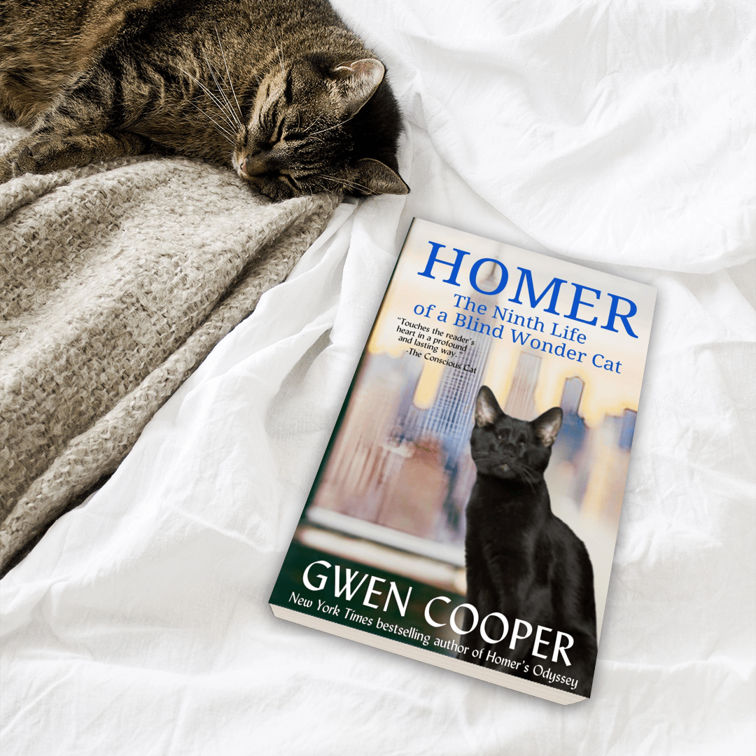 Homer: The Ninth Life of a Blind Wonder Cat Paperback (Homer Book #2)