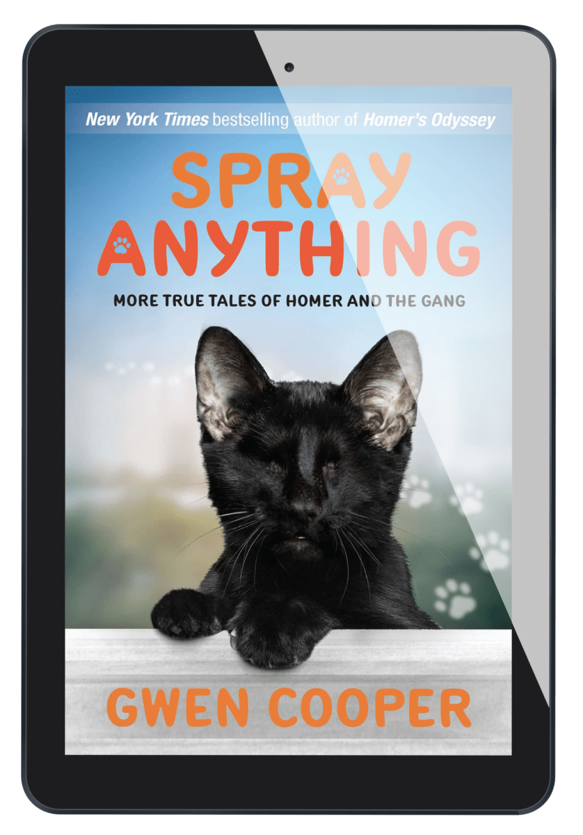 Spray Anything: More True Tales of Homer & the Gang (Homer Book #3)