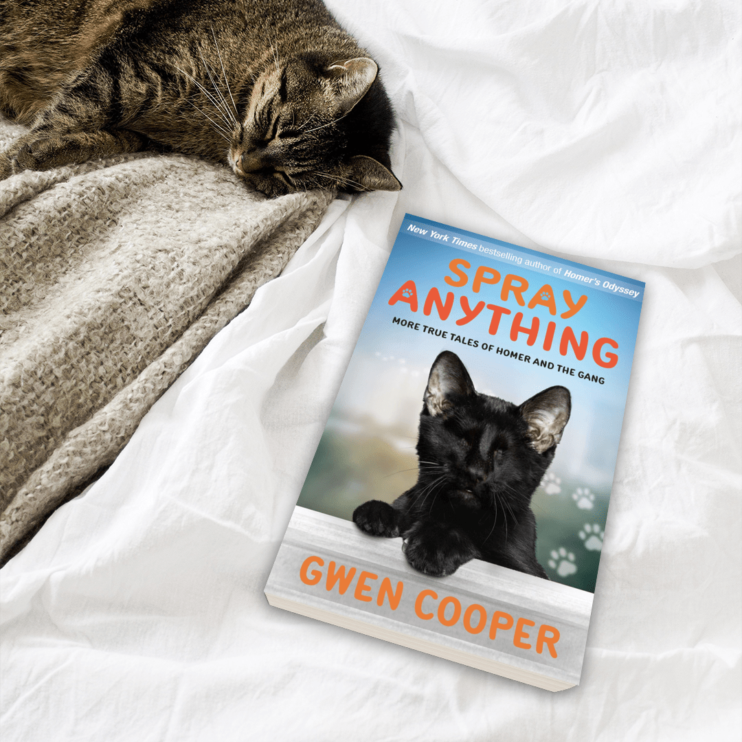 Spray Anything: More True Tales of Homer and the Gang (Homer Book #3)