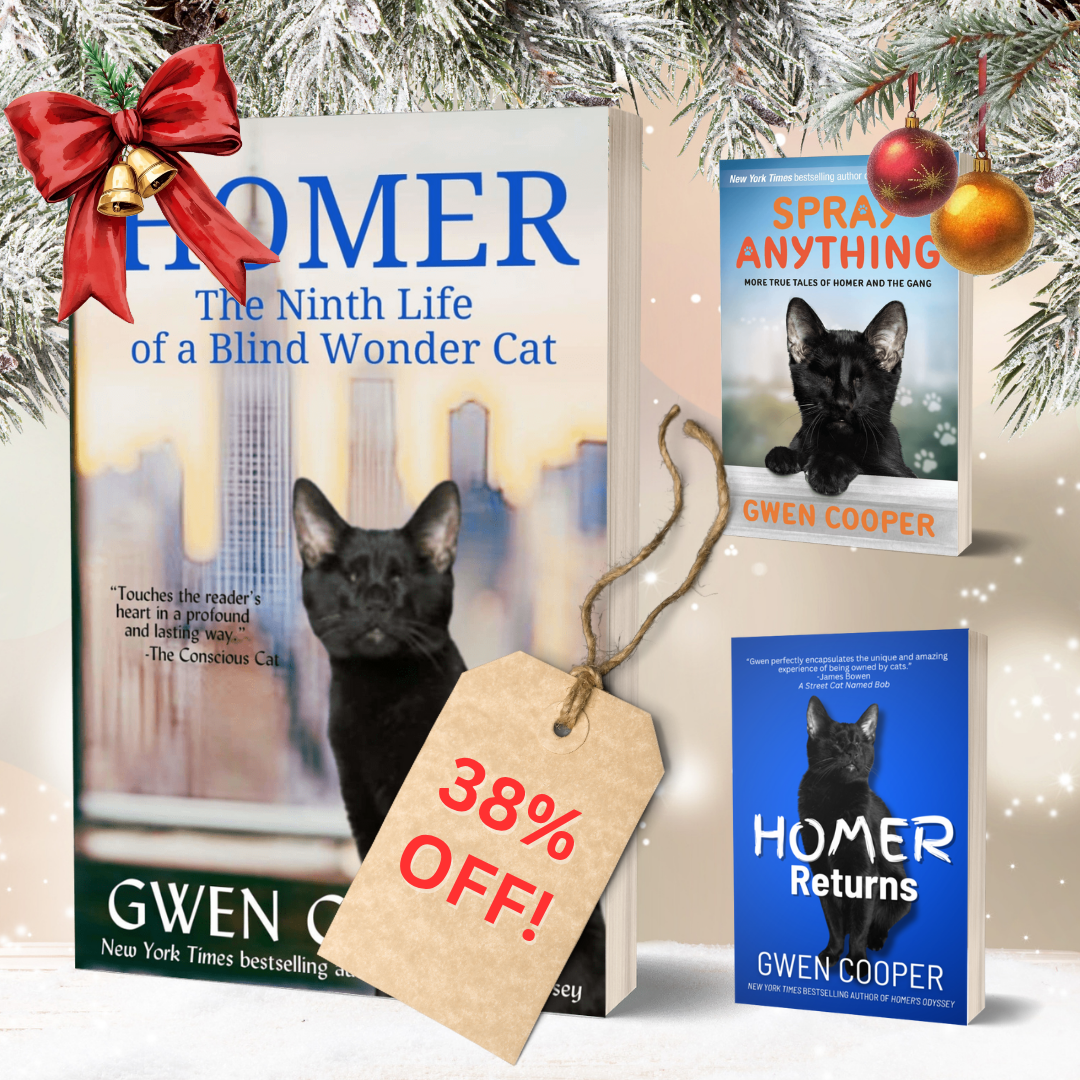 Homer 3-Book Bundle (Homer Books #2 thru #4)