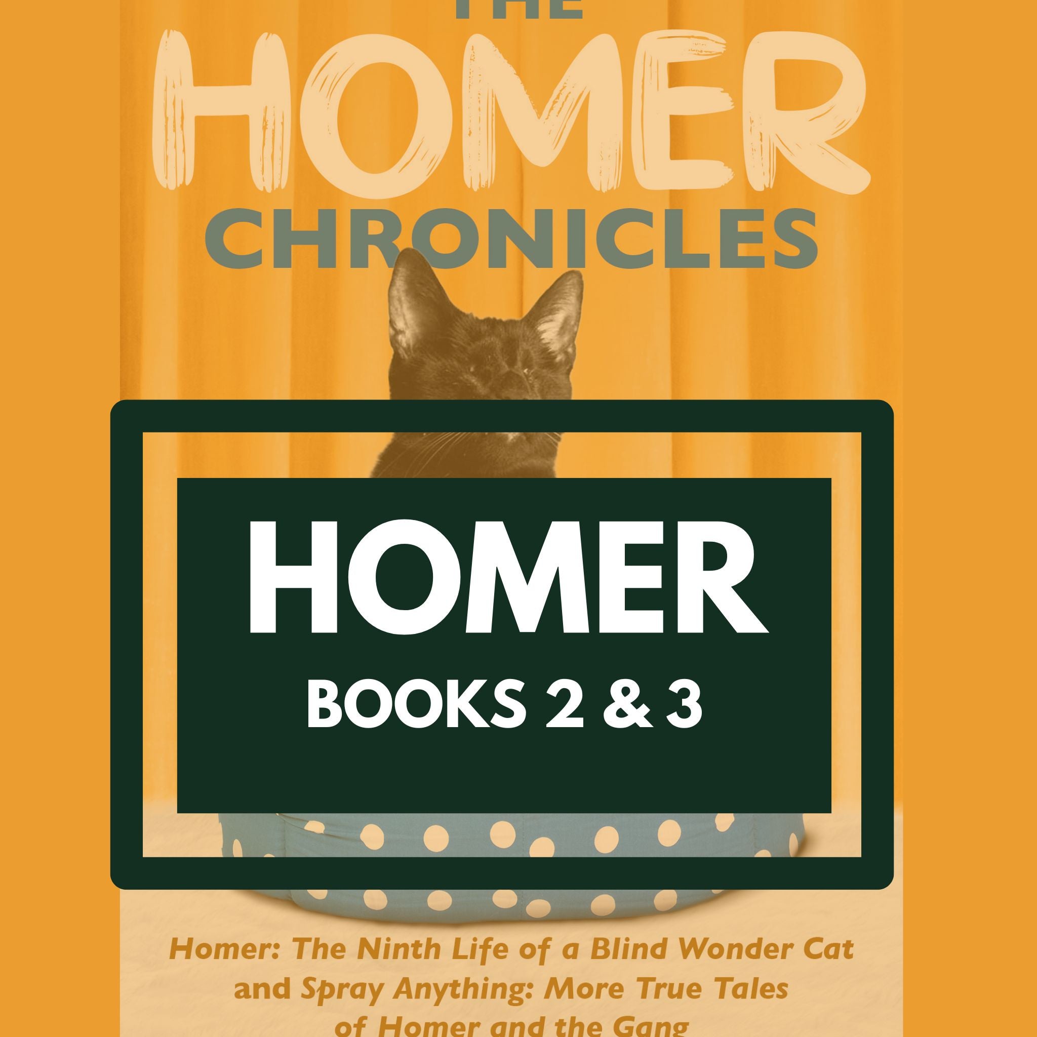 The HOMER Chronicles (Homer Books #2 and #3)