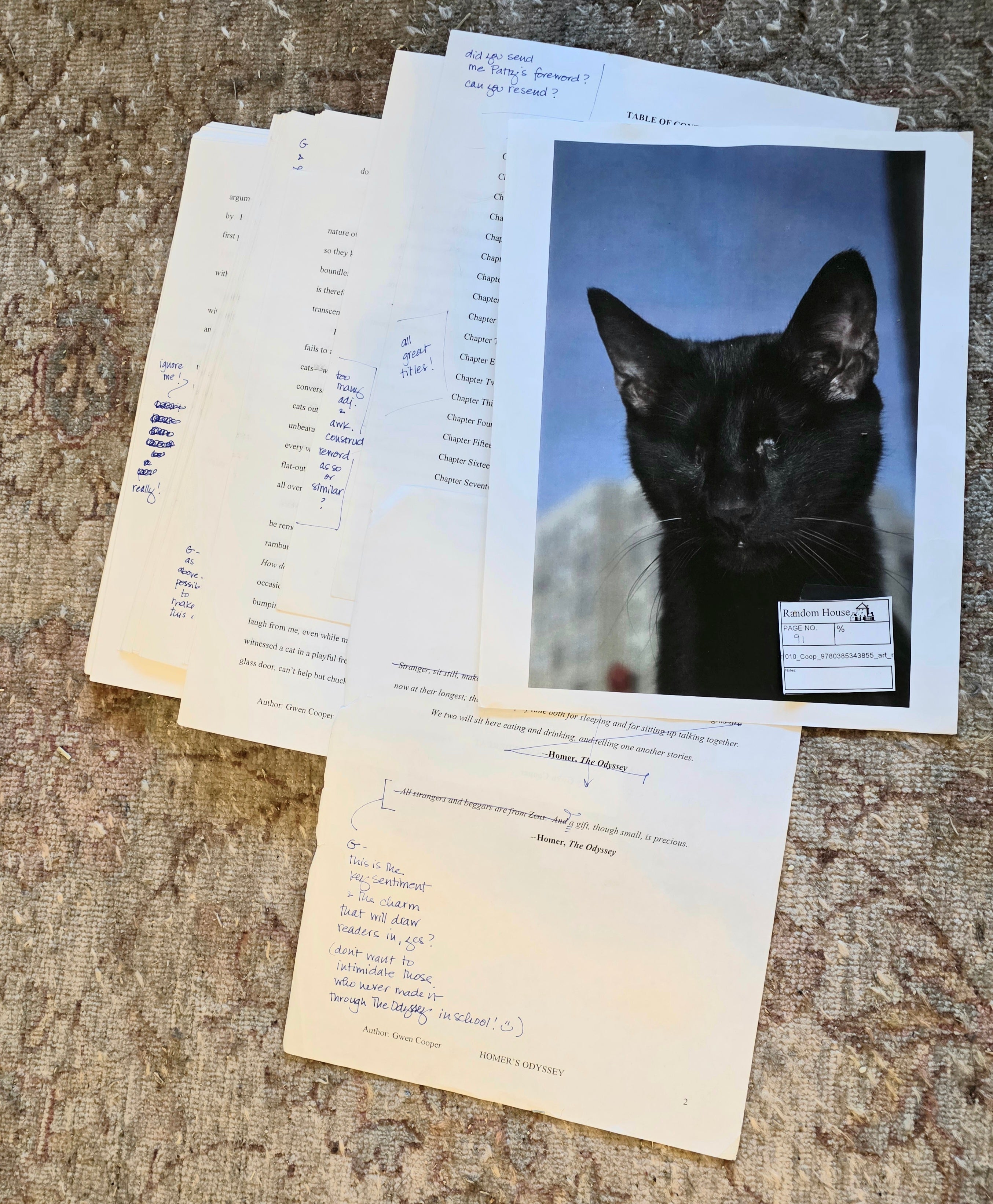 Homer's Odyssey: Limited Edition First Draft Facsimile with Editorial Notes (only 15 available!)