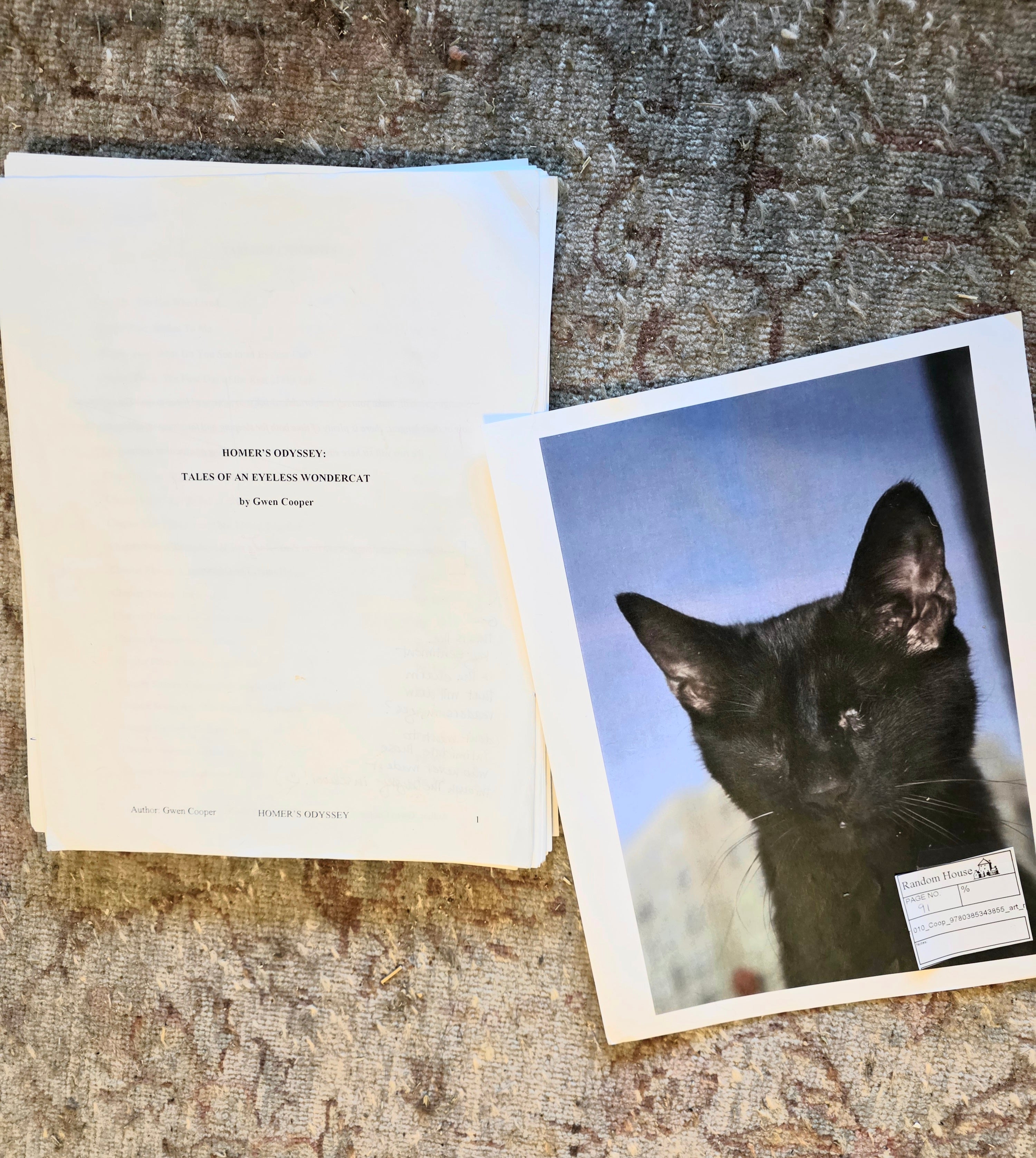 Homer's Odyssey: Limited Edition First Draft Facsimile with Editorial Notes (only 15 available!)