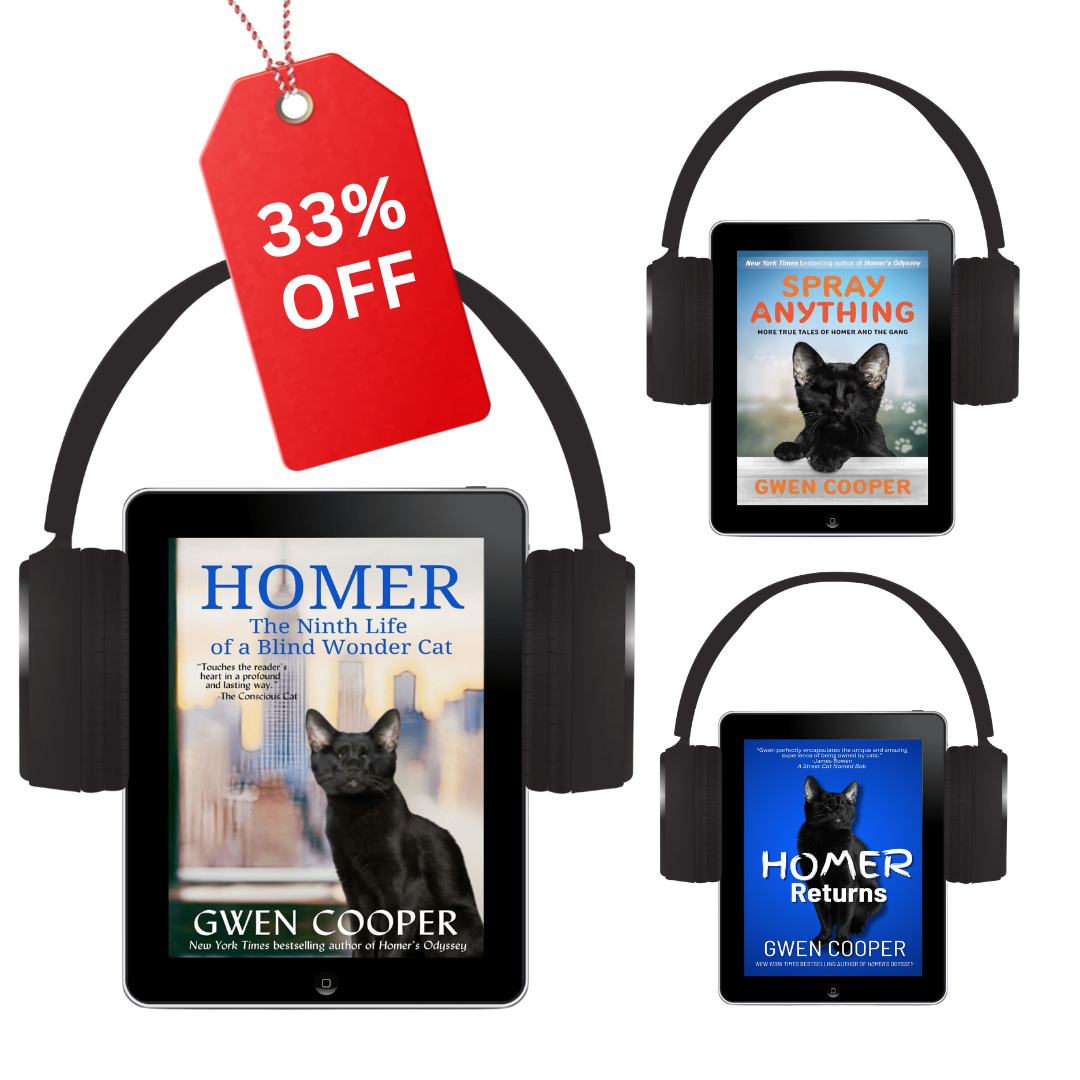 The Homer 3-Book Audio Bundle (Homer Books #2 thru #4)
