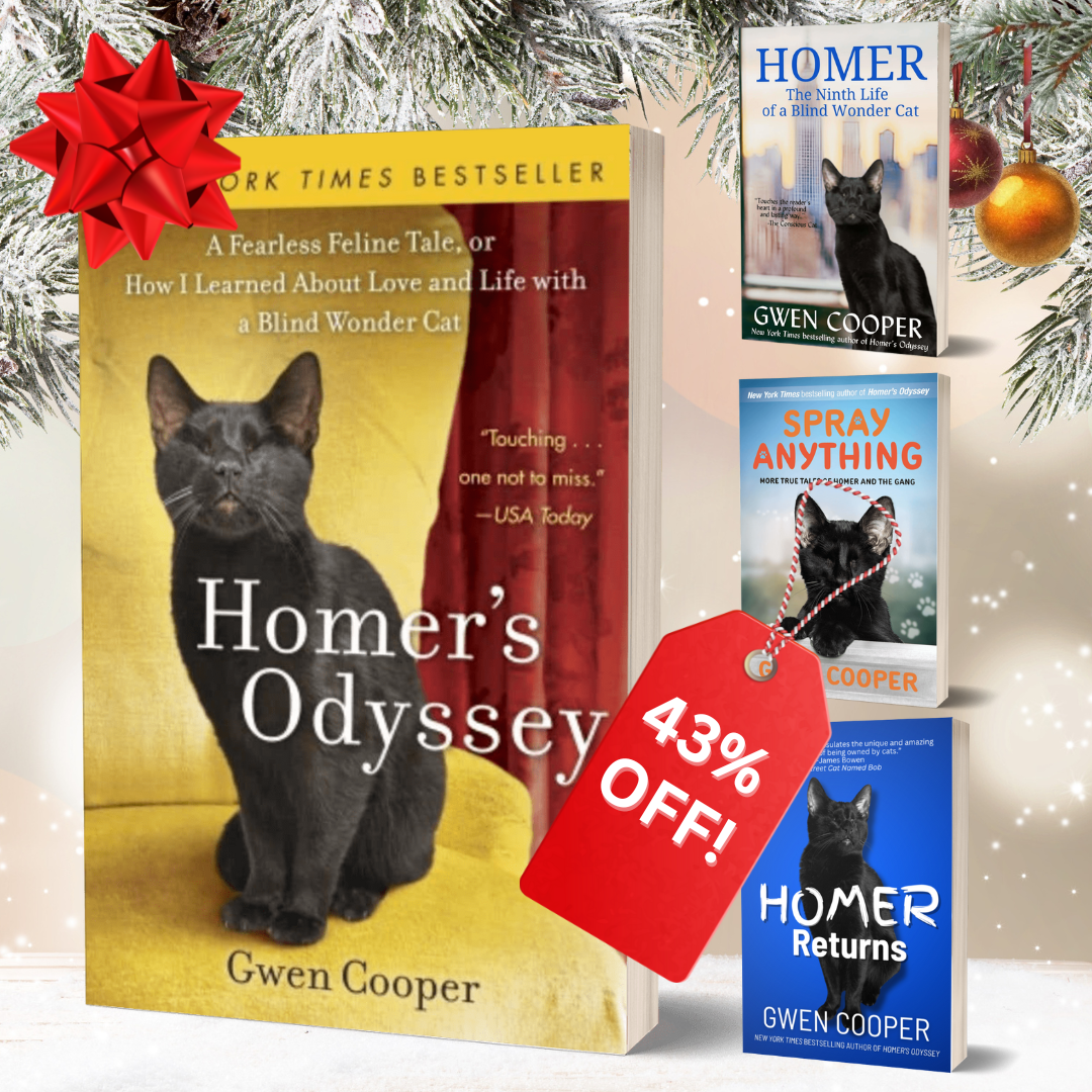 The HOMER Paperback Bundle (All 4 Homer Books)
