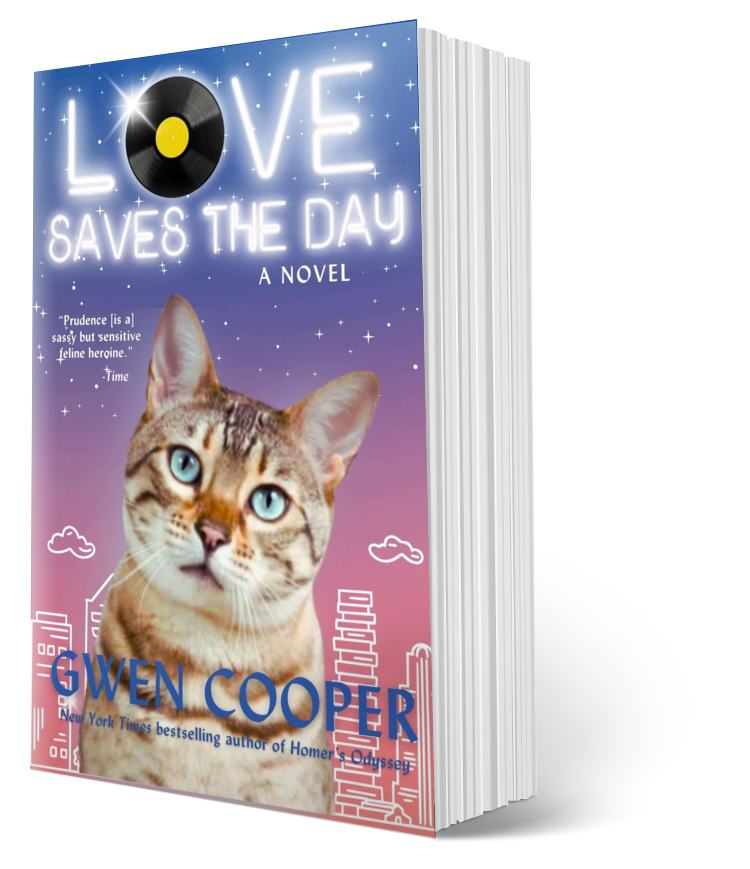 Love Saves the Day: A Novel (Paperback)