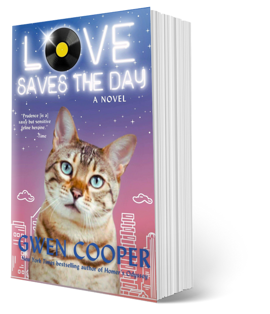 Love Saves the Day: A Novel (Paperback)