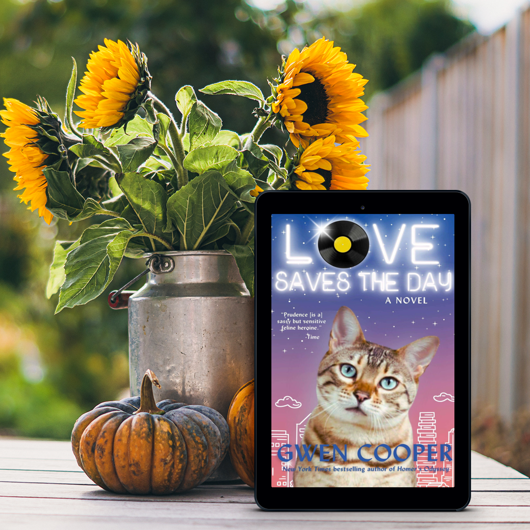 Love Saves the Day: A Novel (ePub)