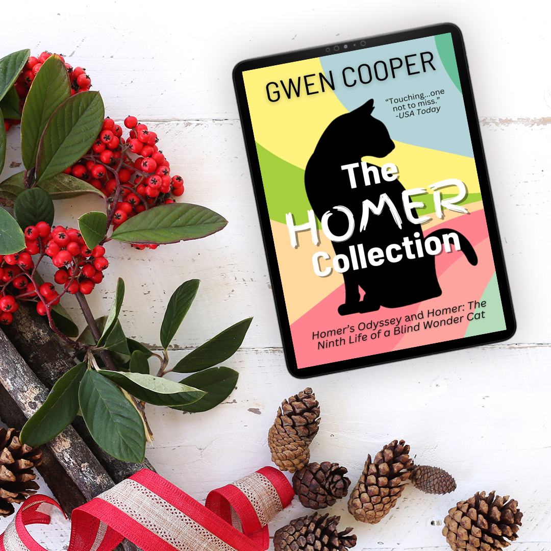 The HOMER Collection (Homer Books #1 and #2)