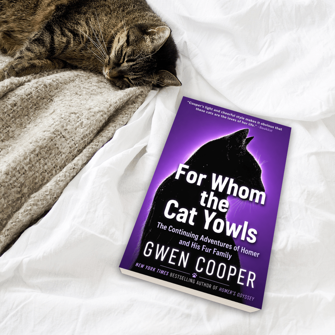 For Whom the Cat Yowls: The Continuing Adventures of Homer and His Fur Family (Homer Book #5)