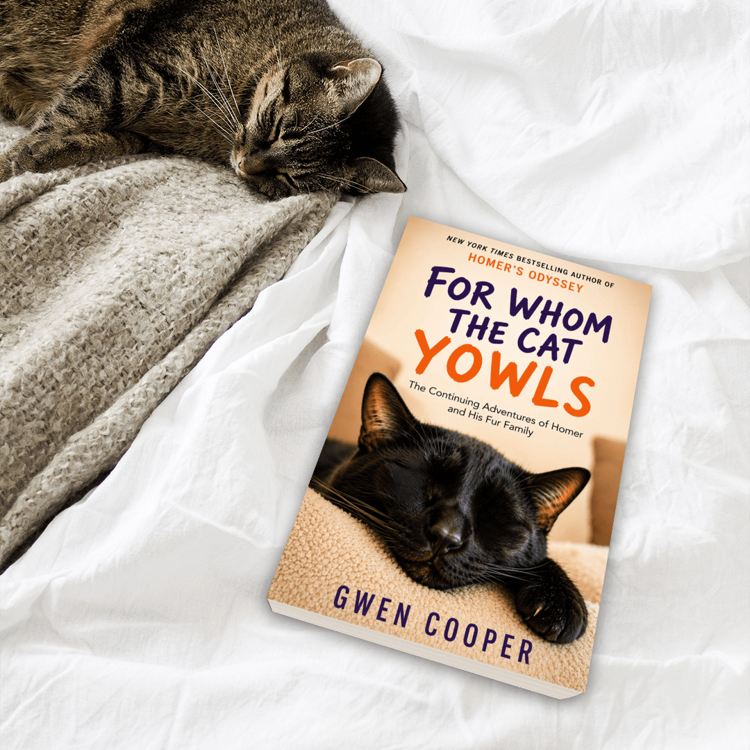 For Whom the Cat Yowls: The Continuing Adventures of Homer and His Fur Family (Homer Book #5)