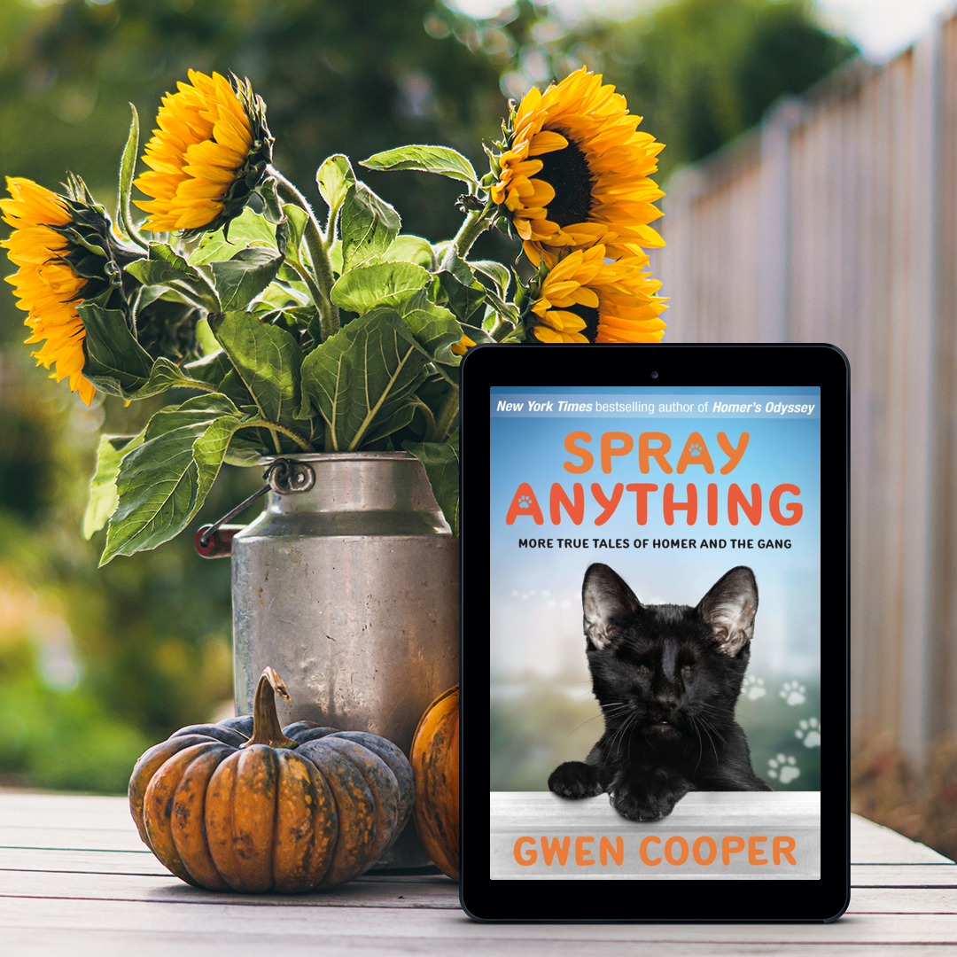 Spray Anything: More True Tales of Homer & the Gang (Homer Book #3)