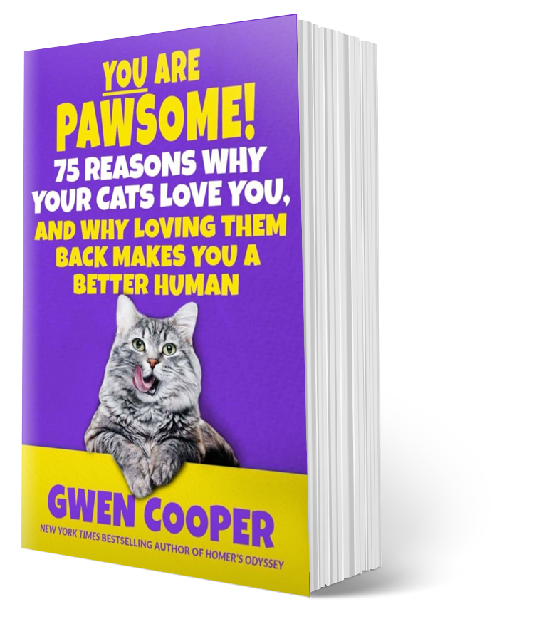 YOU are PAWSOME! 75 Reasons Why Your Cats Love You, and Why Loving Them Back Makes You a Better Human (Paperback)