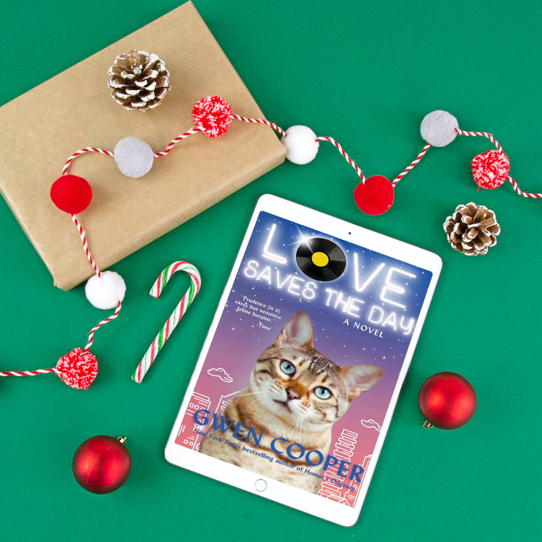 Love Saves the Day: A Novel (ePub)