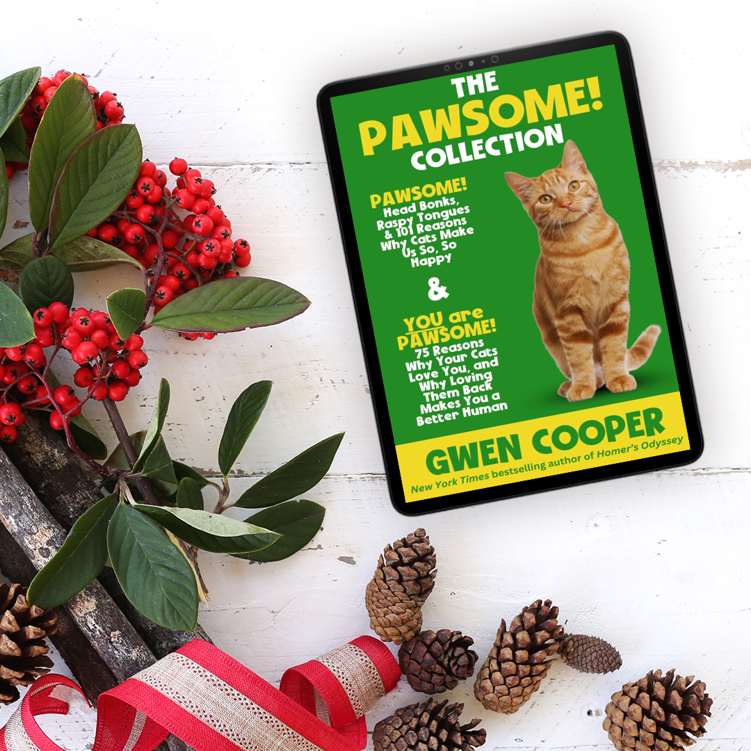 The PAWSOME! Collection: (PAWSOME! Books #1 and #2)