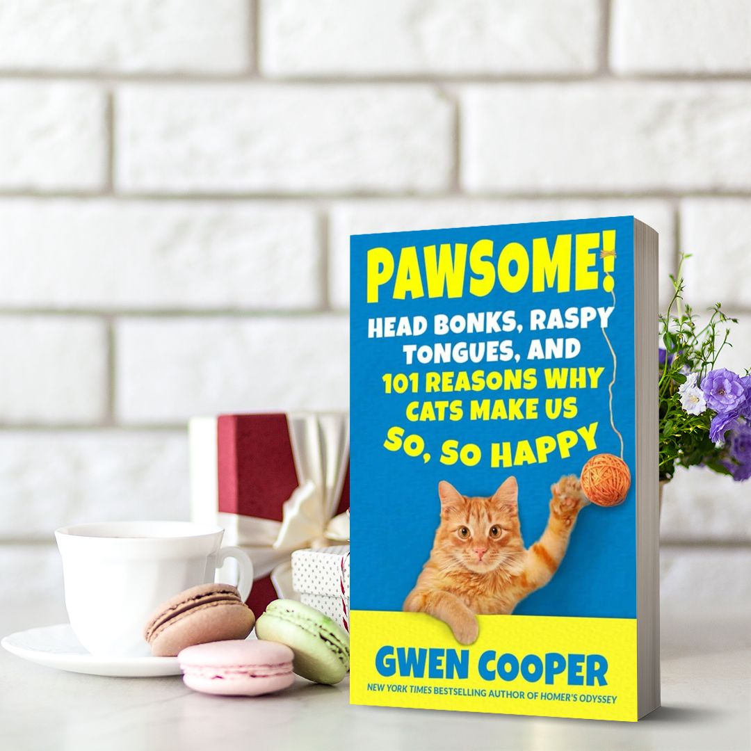 PAWSOME! Head Bonks, Raspy Tongues, and 101 Reasons Why Cats Make Us So, So Happy (Paperback)