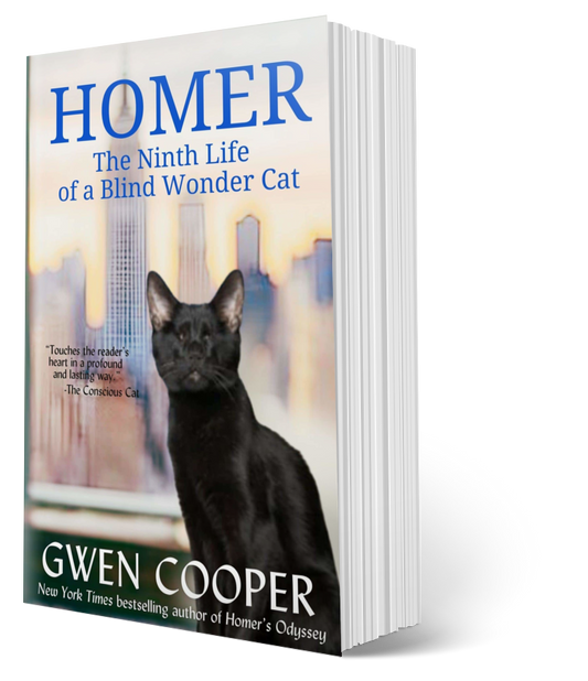 Homer: The Ninth Life of a Blind Wonder Cat (Paperback)