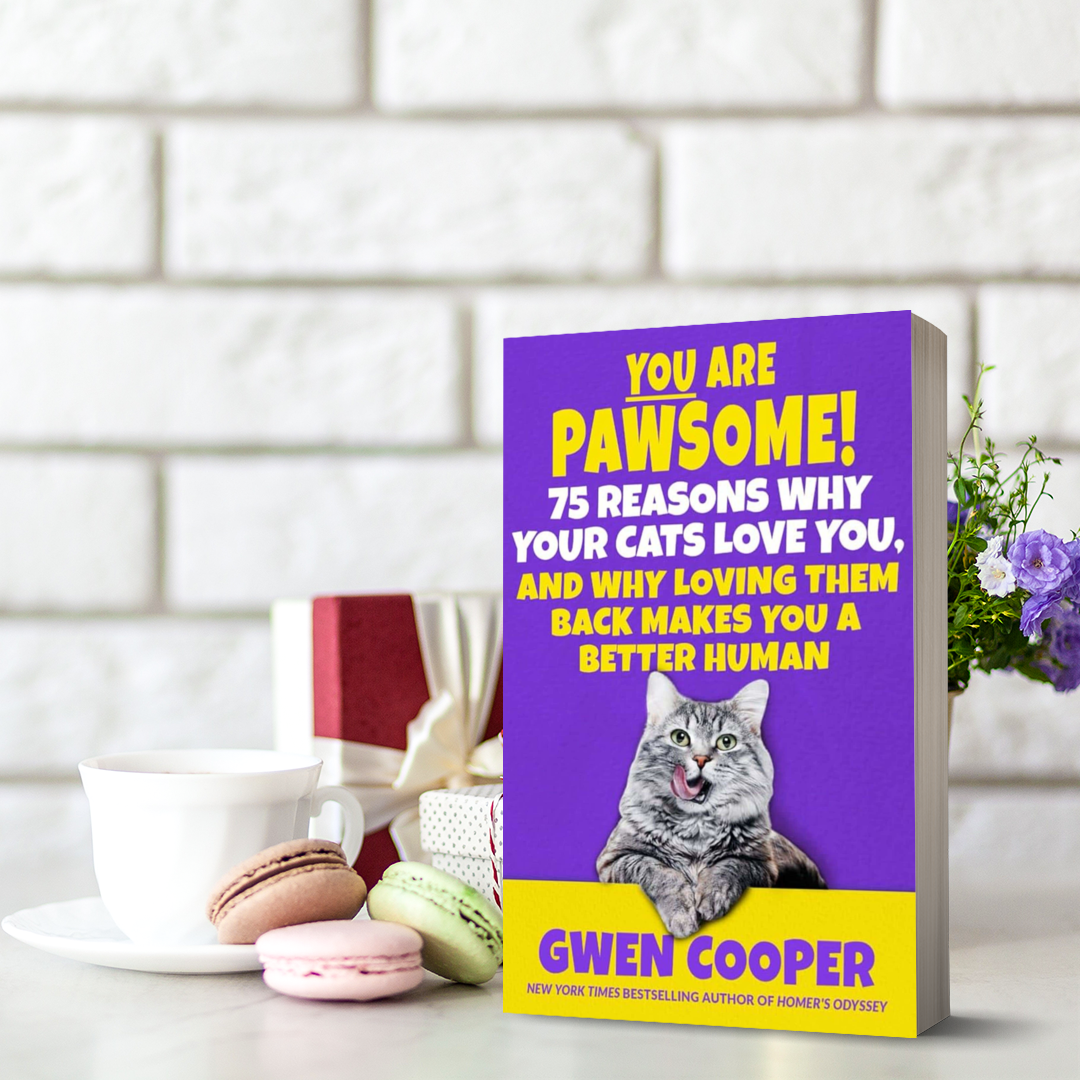 YOU are PAWSOME! 75 Reasons Why Your Cats Love You, and Why Loving Them Back Makes You a Better Human (Paperback)