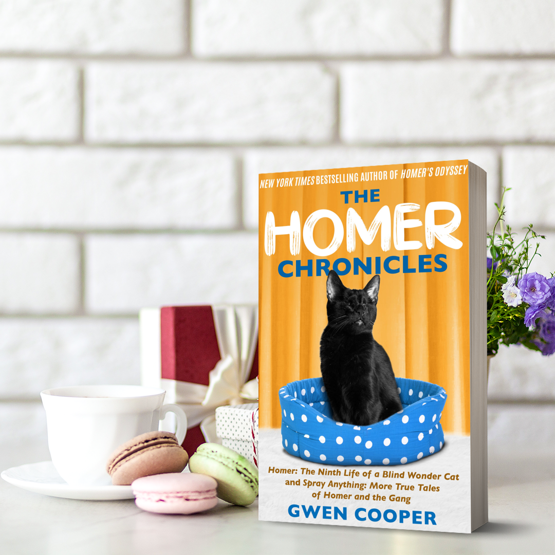 The HOMER Chronicles (Paperback)