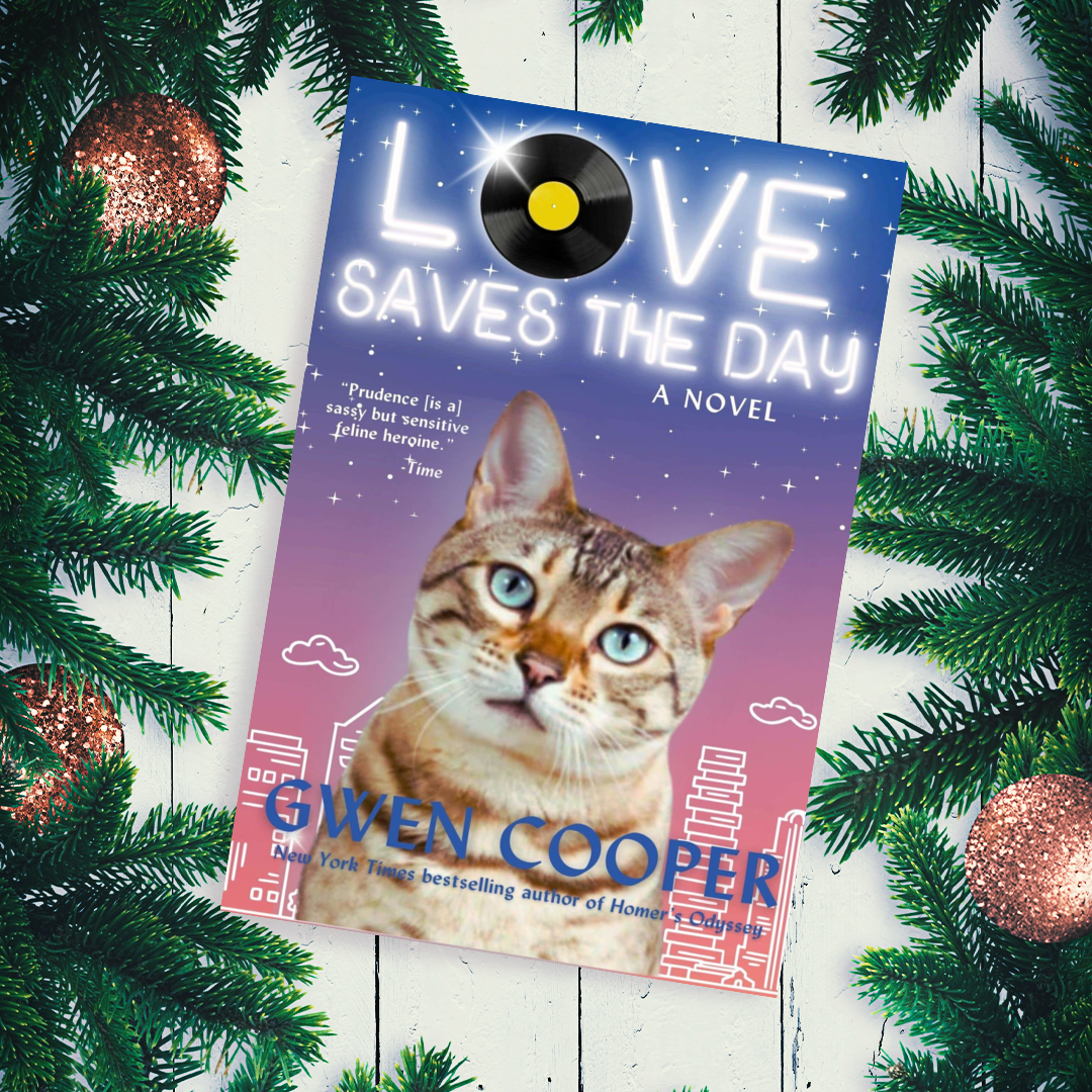 Love Saves the Day: A Novel (Paperback)