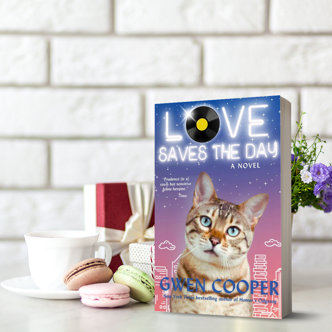 Love Saves the Day: A Novel (Paperback)