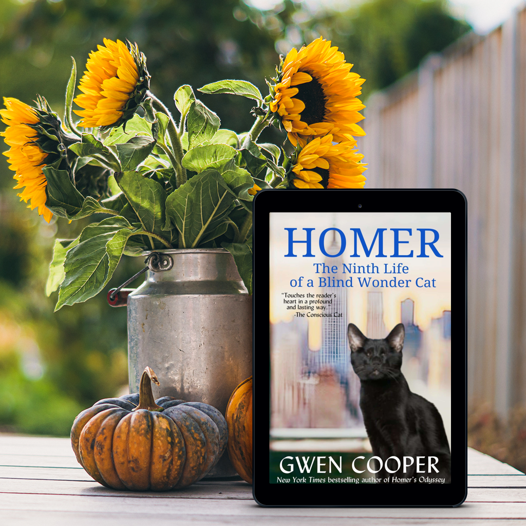 Homer: The Ninth Life of a Blind Wonder Cat E-Book (Homer Book #2)