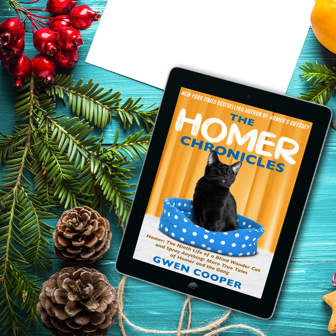 The HOMER Chronicles (Homer Books #2 and #3)