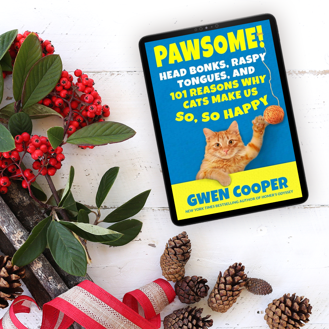 PAWSOME! Head Bonks, Raspy Tongues & 101 Reasons Why Cats Make Us So, So Happy (PAWSOME! Book #1)