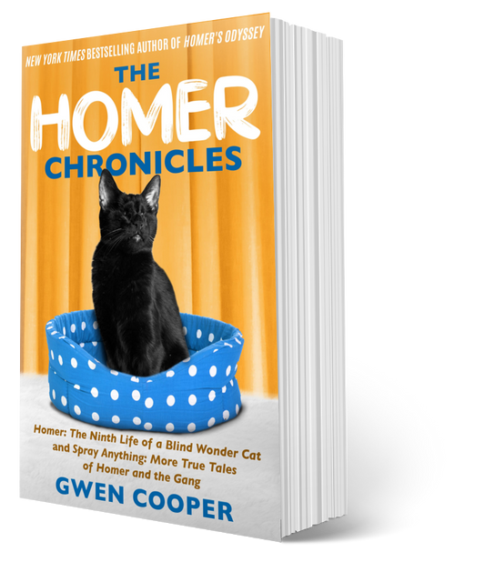 The HOMER Chronicles (Paperback)